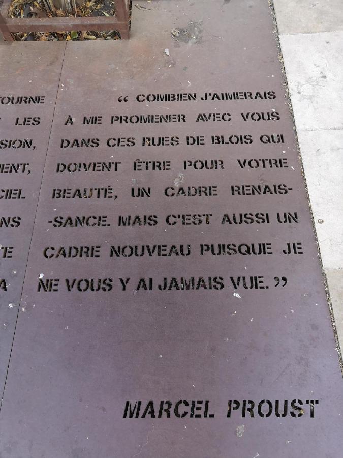 Au Fil De Loire Appartamento Blois Esterno foto